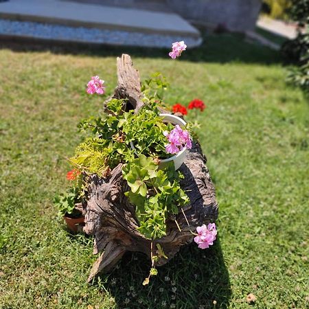 Villa Karolina Ochryda Zewnętrze zdjęcie