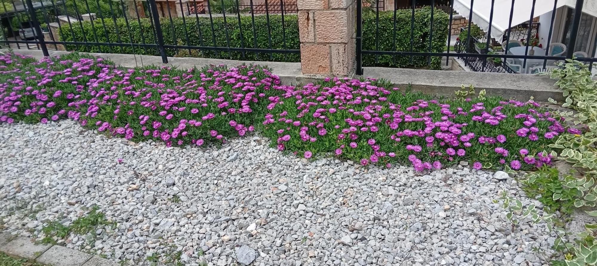 Villa Karolina Ochryda Zewnętrze zdjęcie